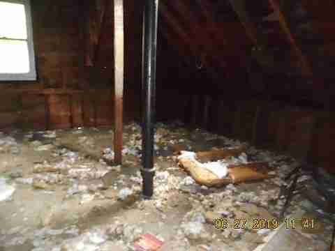 2451 Edsel (28)_m.jpg